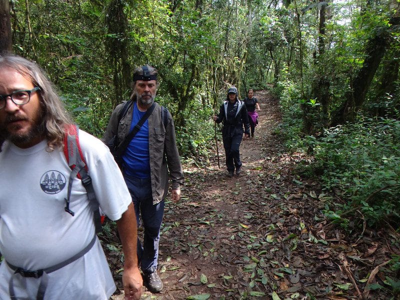 Rwanda Chimpanzee Trekking