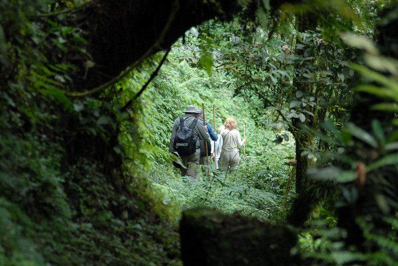 Things to Know Before Visiting Rwanda