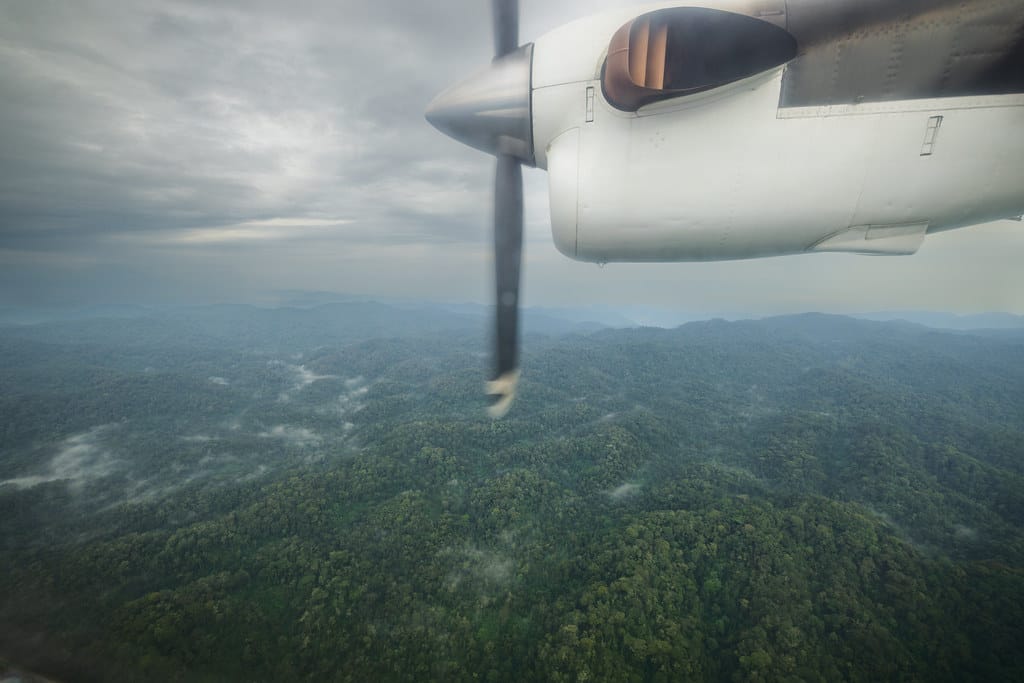 3 Days Flying Gorilla Safari