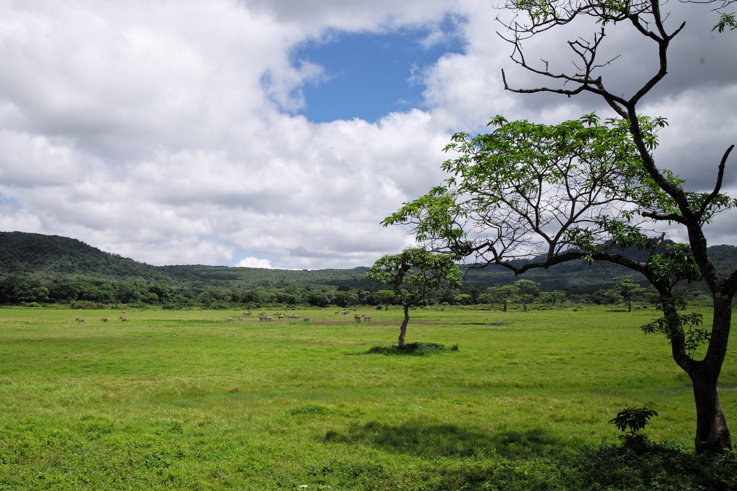 Best Multi-Day Rafting Trips in Tanzania