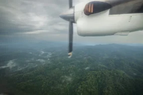 3 Days Flying Gorilla Safari