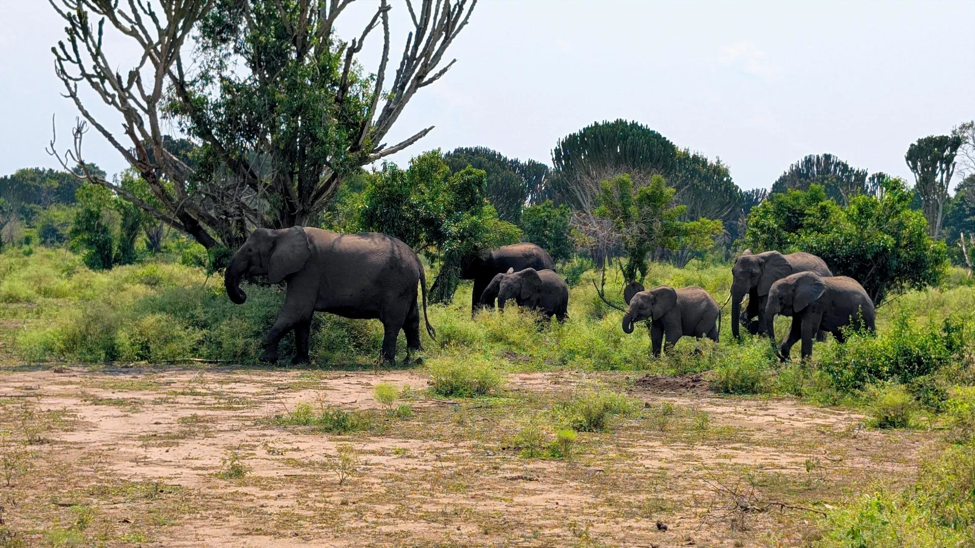 Uganda Big Five Safari Locations