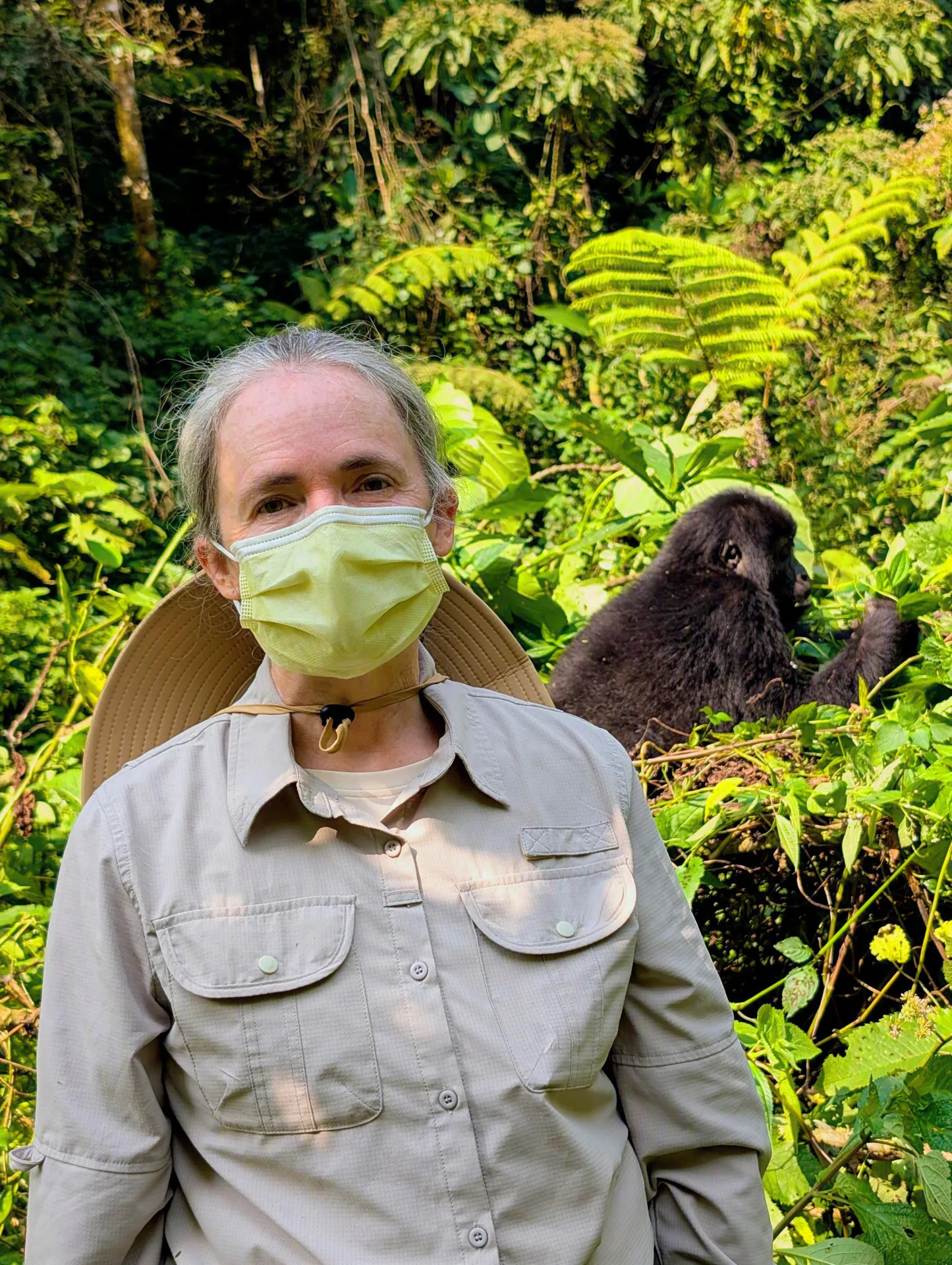 What Happens if I Get Sick During Gorilla or Chimpanzee Trekking?