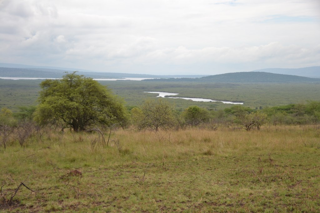What to do in Akagera National Park