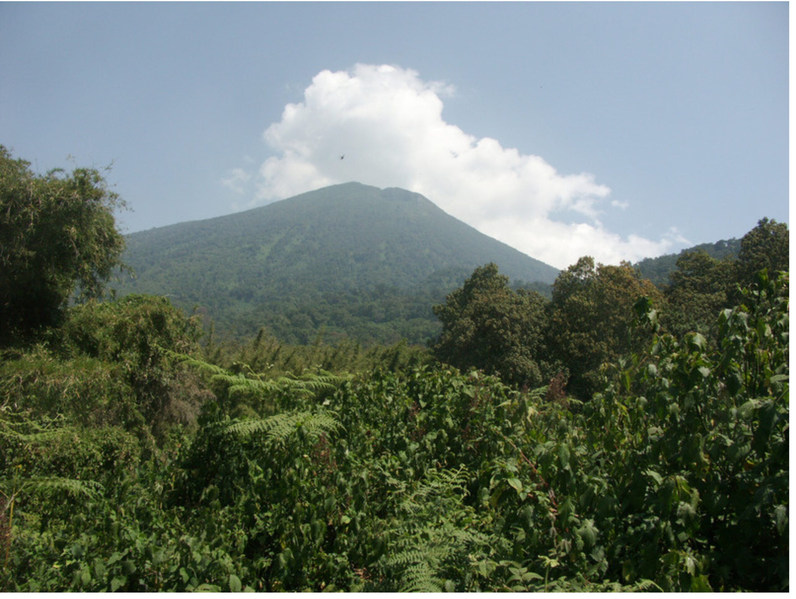 Mount Elgon: The Complete Hiking Guide