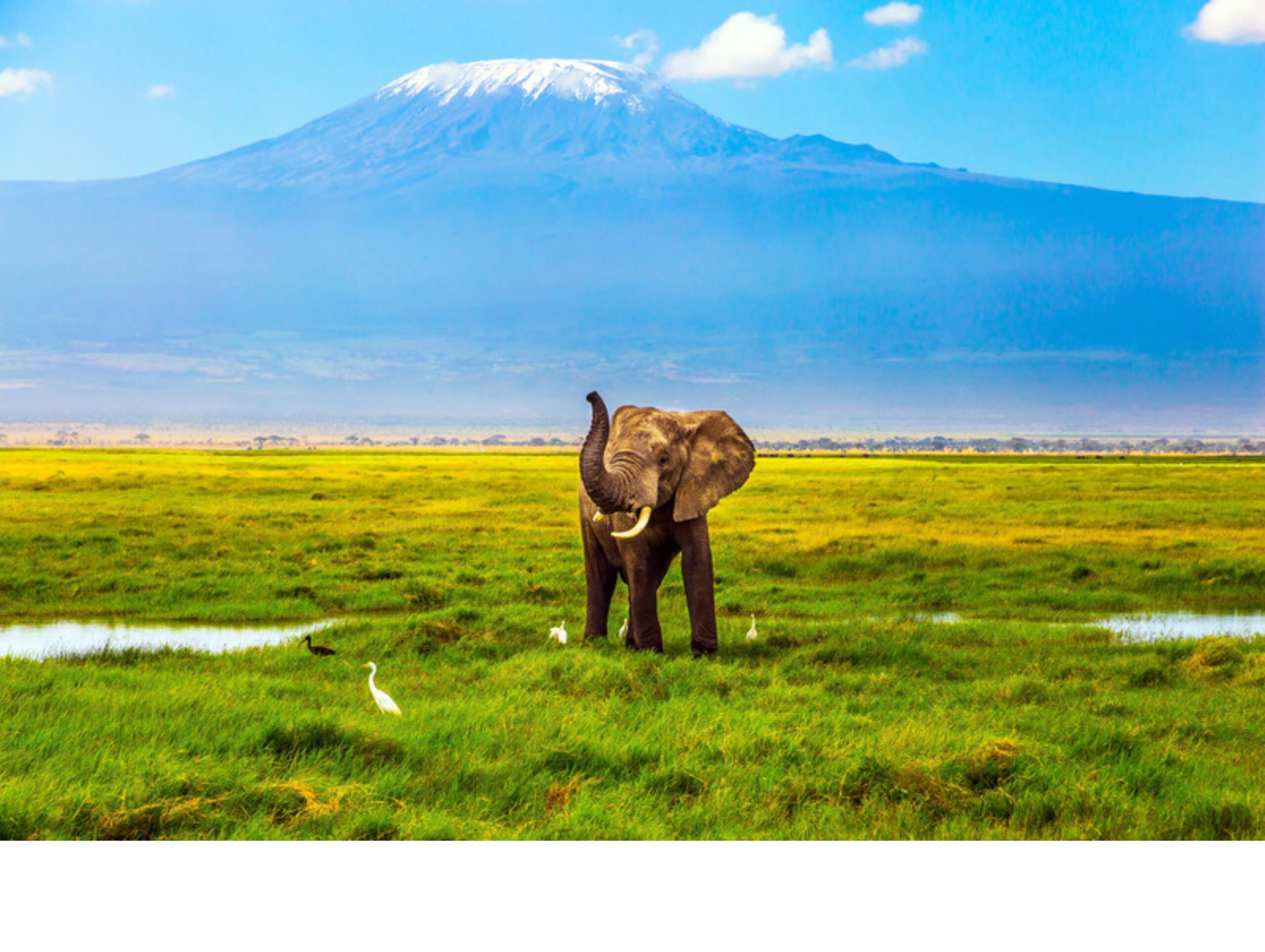 Mount Kilimanjaro: The Complete Guide