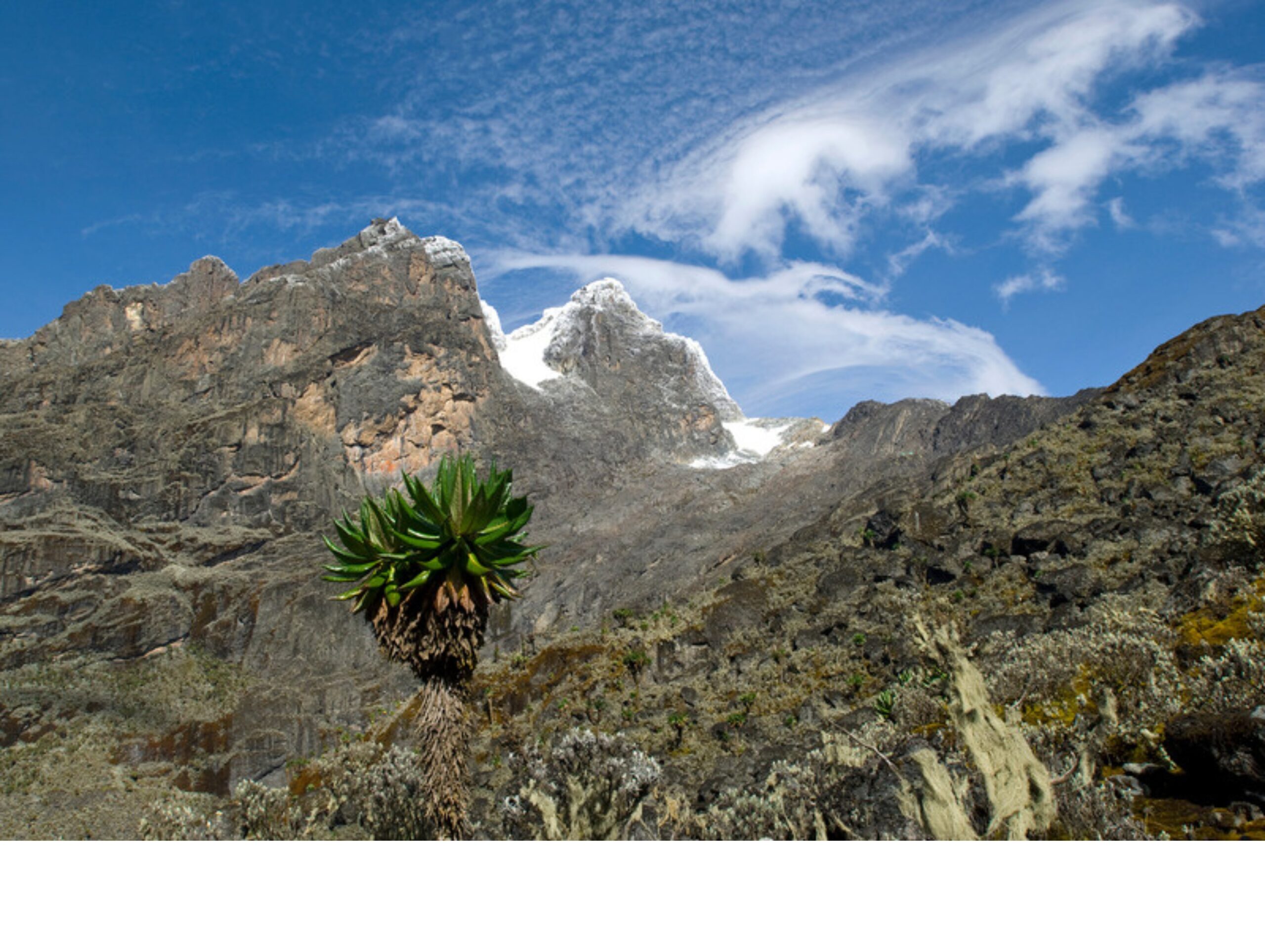 Rwenzori Mountains: The Complete Hiking Guide