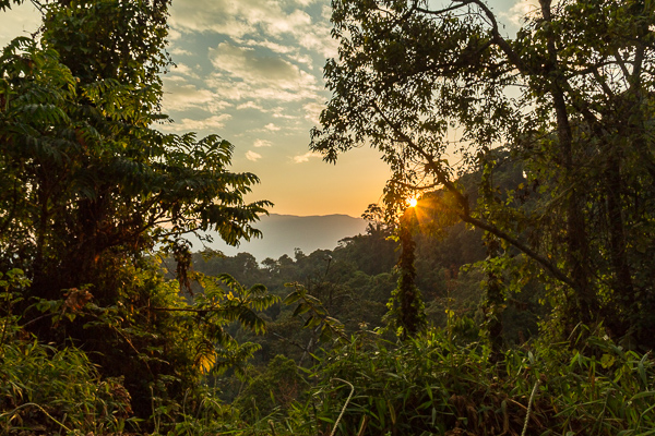 What Is the Rain Season in Rwanda?