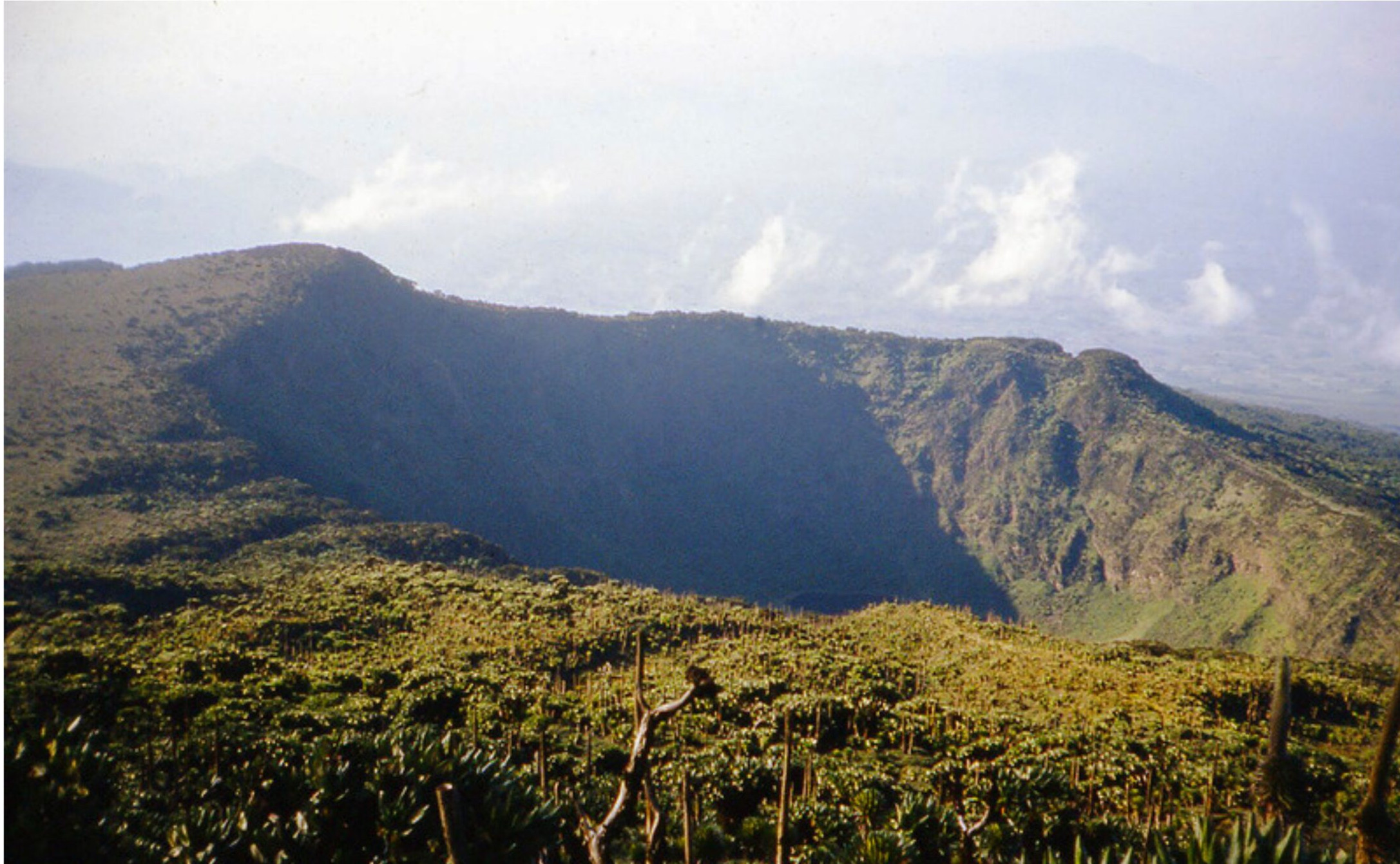 Top 5 Activities Done in Volcanoes National Park Rwanda