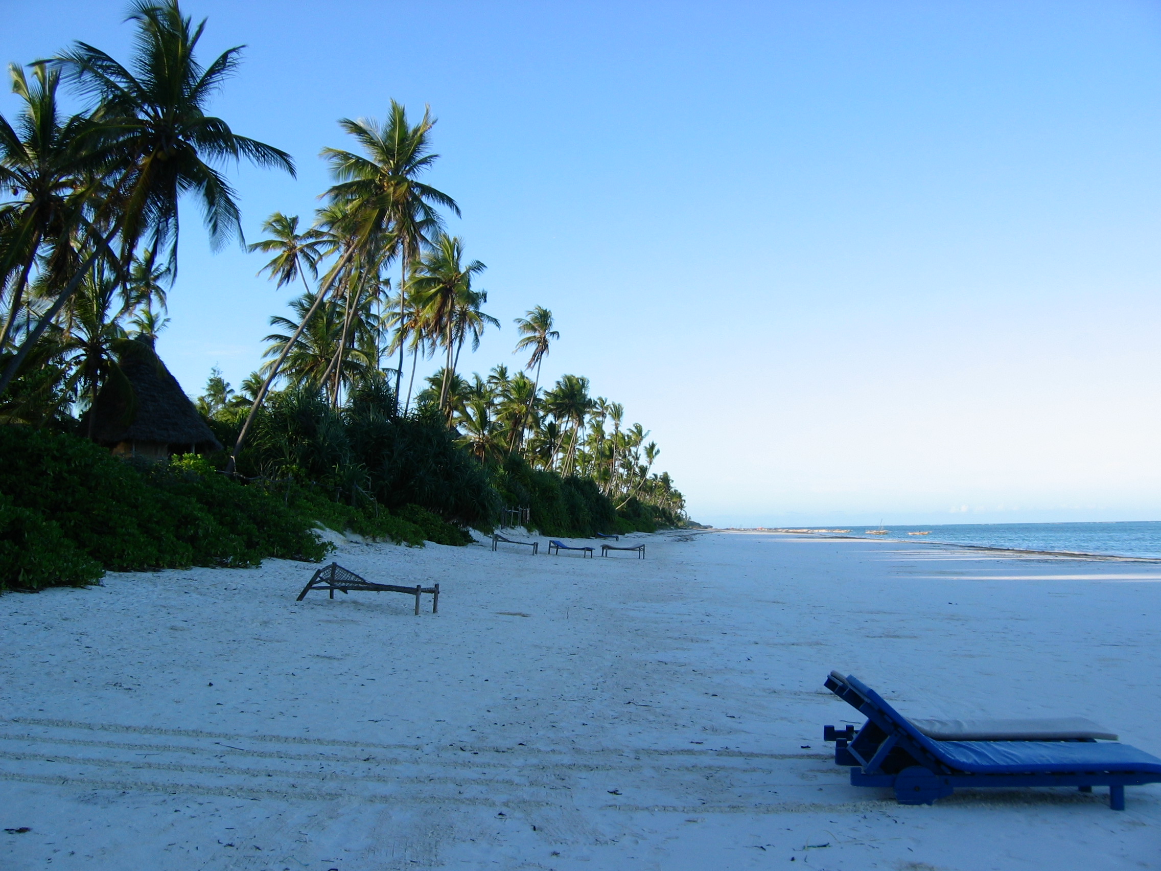 How Much Does a Meal Cost in Zanzibar?