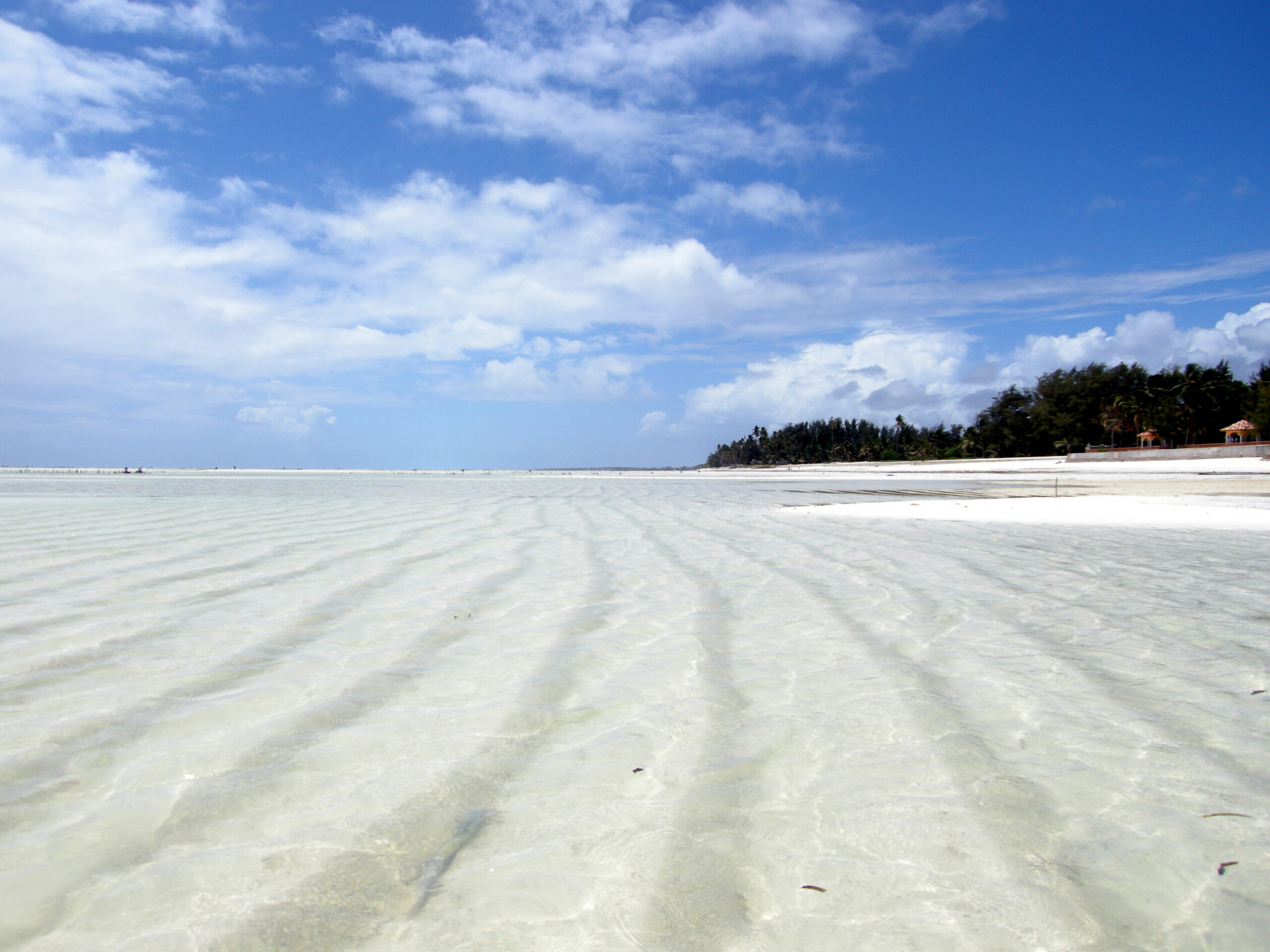 Where are the Best Beach Resorts in Zanzibar?